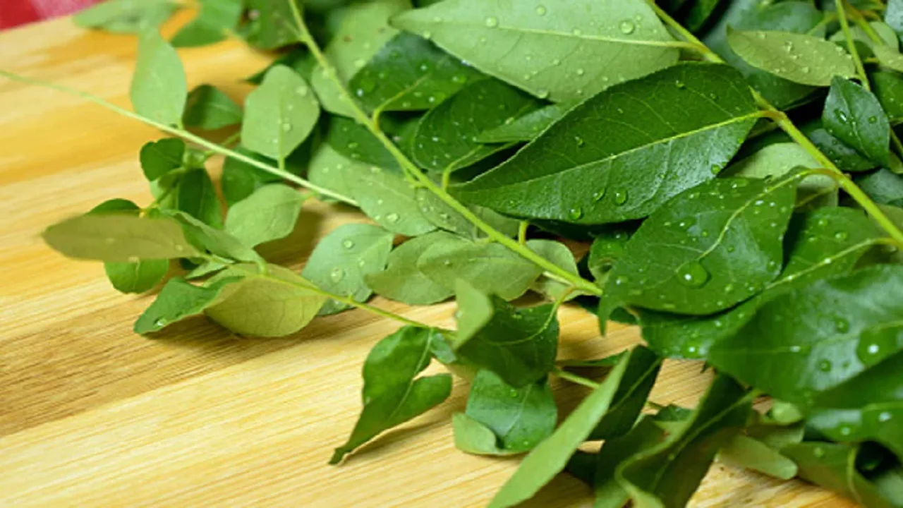 Benefits Of Using Curry Leaves For Cooking And Health