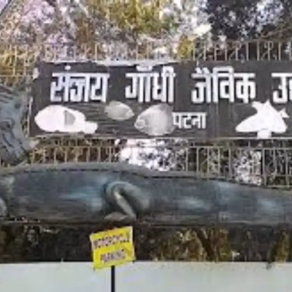 Patna Zoo Adjusts Timings to 6 AM to 5 PM Amid Winter Chill, Ensuring Visitor Comfort and Animal Welfare