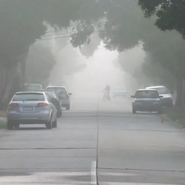 Bihar Weather Remains Clear and Stable, No Cold Increase Expected Over Next Few Days