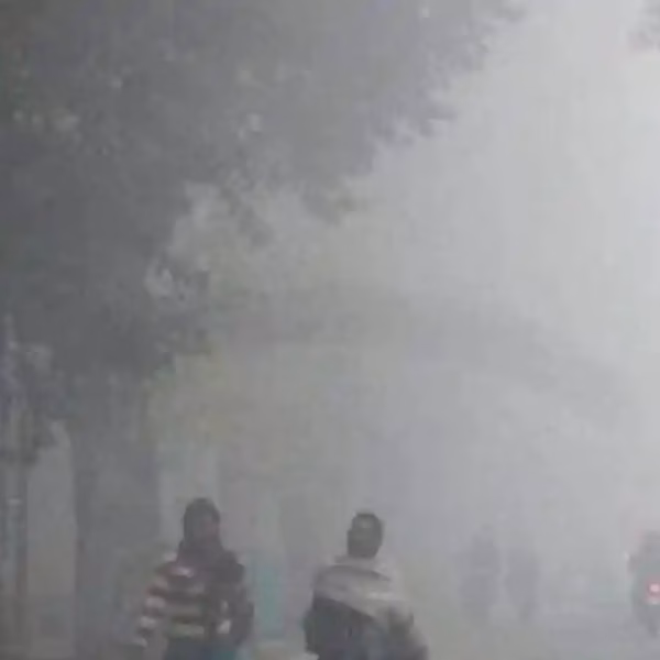 Bihar Weather Improves After Rain, Clear Skies Expected with Rising Day Temperatures Ahead