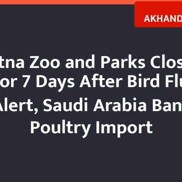 Patna Zoo and Parks Closed for 7 Days After Bird Flu Alert, Saudi Arabia Bans Poultry Import